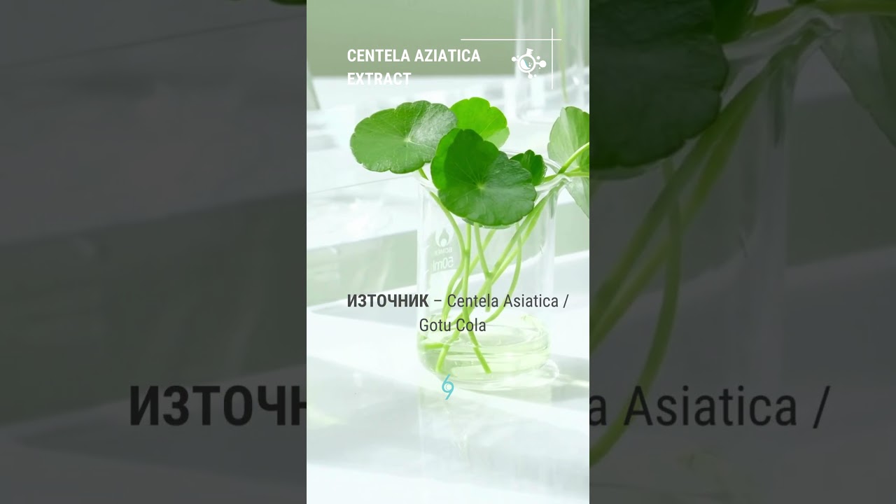 🍀 Екстракт от Centella Asiatica