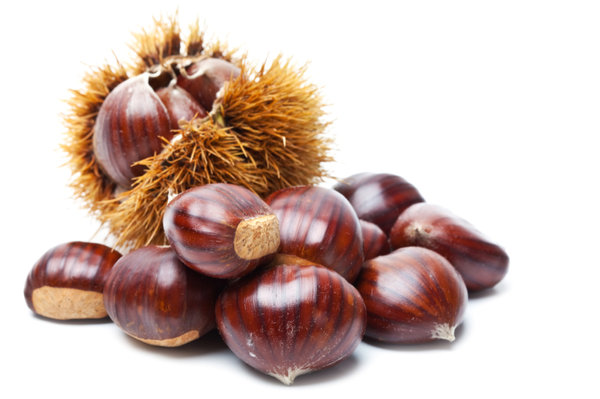 chestnut active ingredients in cosmetics Николай Лазаров Nikolay Lazarov