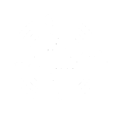 +gREUSABLE system – доказано най-добрият екоЛОГИЧЕН избор! Николай Лазаров Nikolay Lazarov