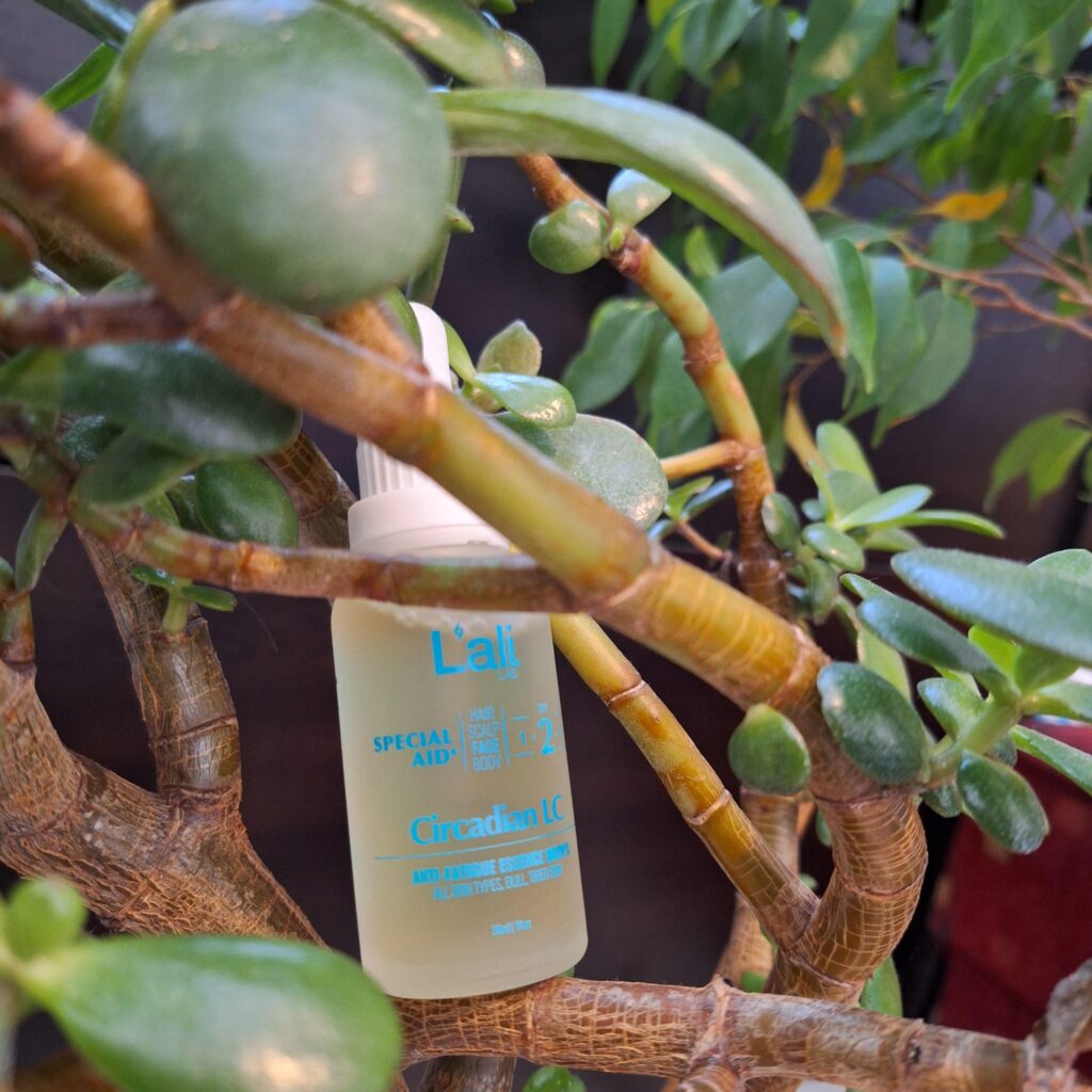 Image #1 from Съни