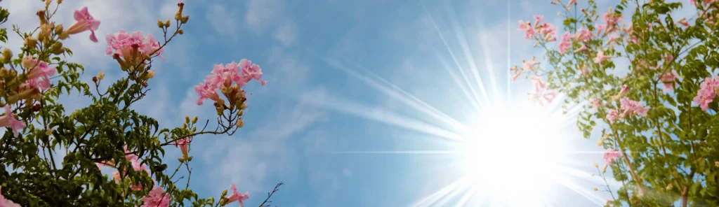 слънчеви лъчи