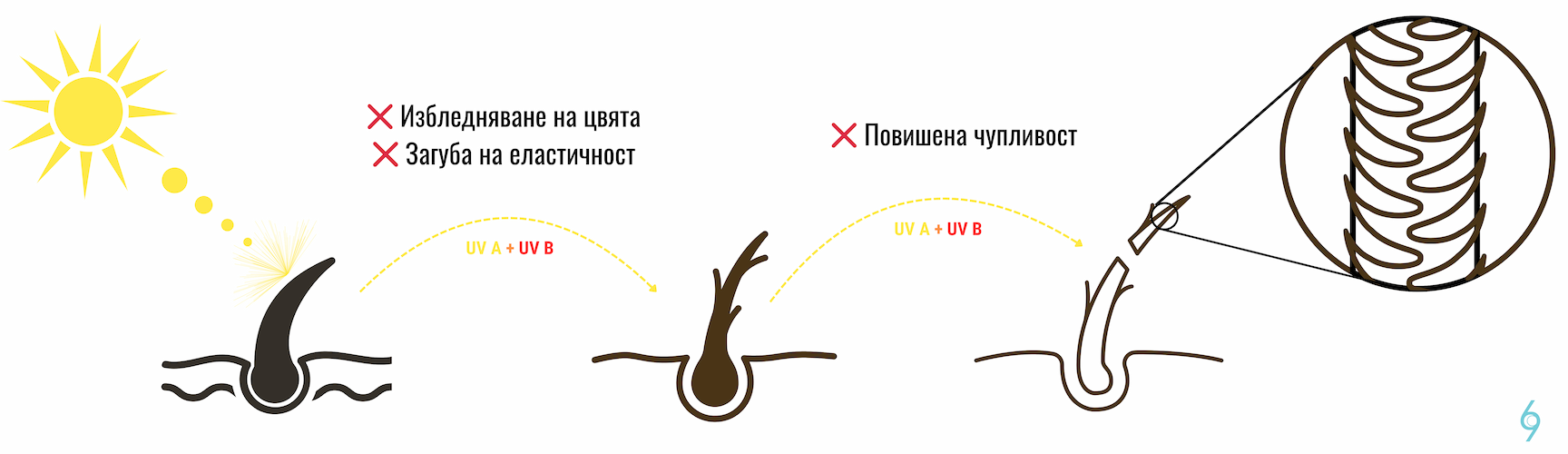 как слънцето урвежда косъма