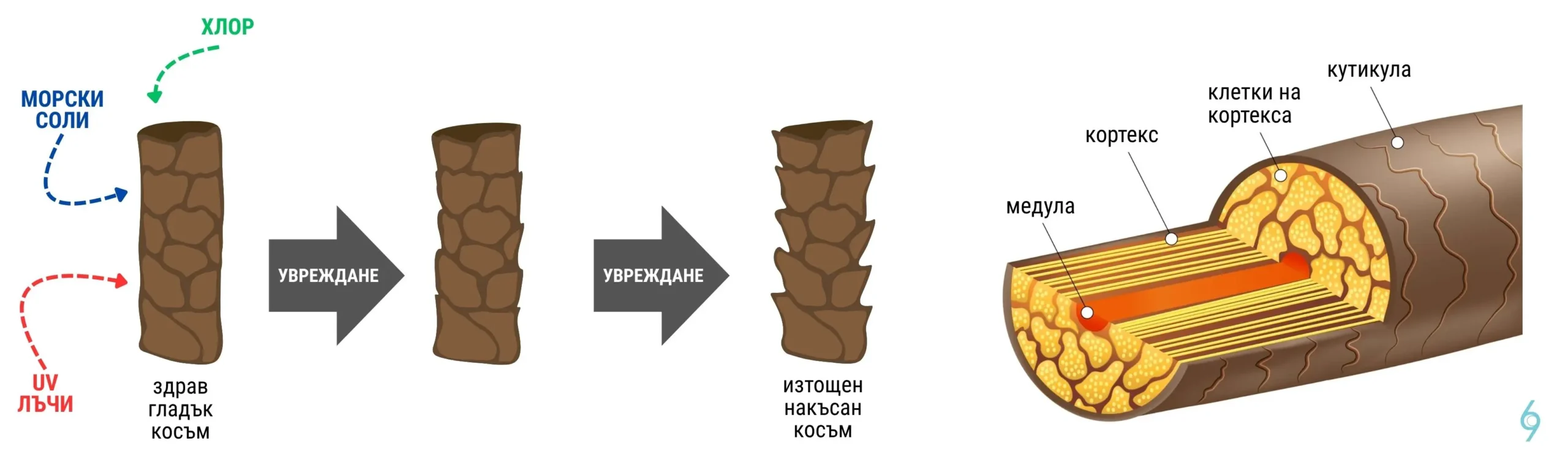 Увреждане на косъма от УВ светлина, хлор и морски соли
