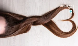 Разбери как високите нива на кортизол и стресовите хормони засягат синтеза на протеогликани и хиалуронан, а фини прахови частици (PM) проникват във фоликулите и предизвикват апоптоза, ускорявайки косопада – и какво може да се направи.