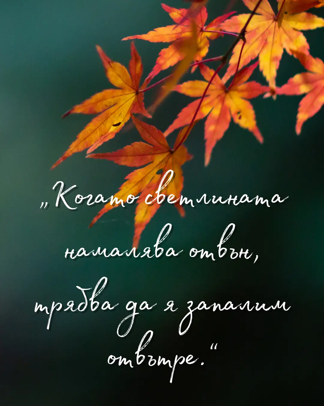 „Когато светлината намалява отвън, трябва да я запалим отвътре.“