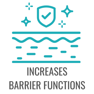 Increases Barrier Functions