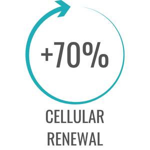 cellular renewal
