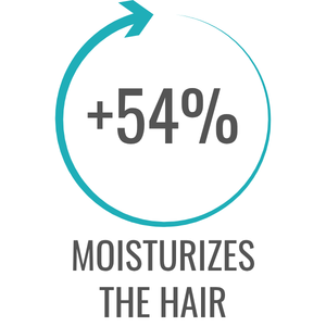 moisturizes the hair