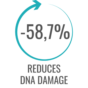 reduces DNA damage